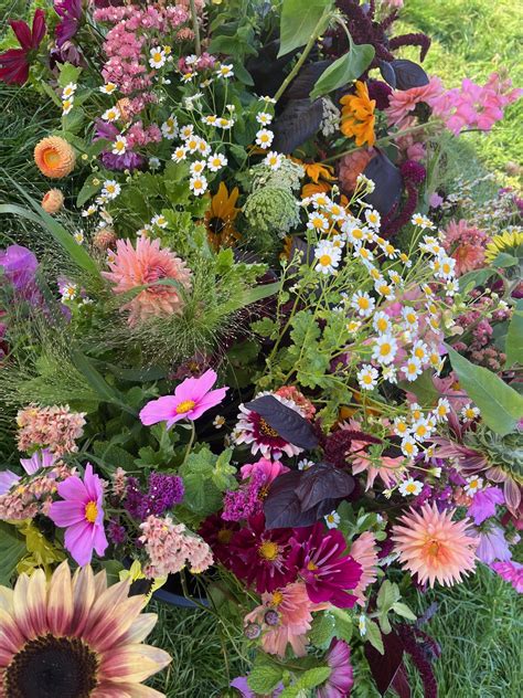 florist norfolk nebraska|norfolk florist chesapeake.